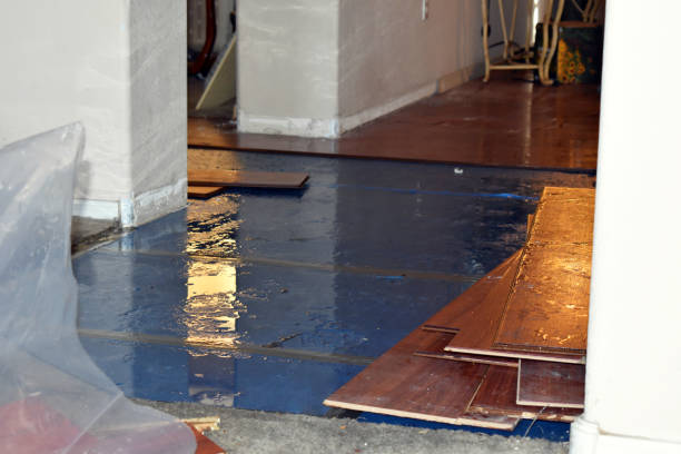 Professional Flood Damage Repair technician working in Hawthorne, WI